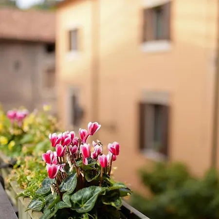 Bed & Breakfast Romeo Giulietta Verona
